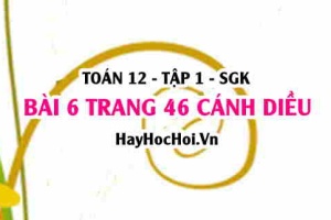 Bài 6 trang 46 Toán 12 tập 1 Cánh Diều